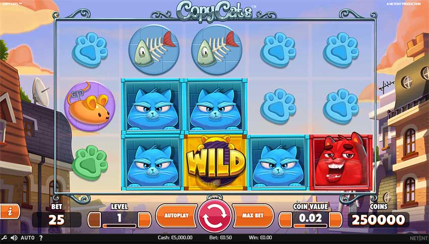 Copy Cats Slot gameplay