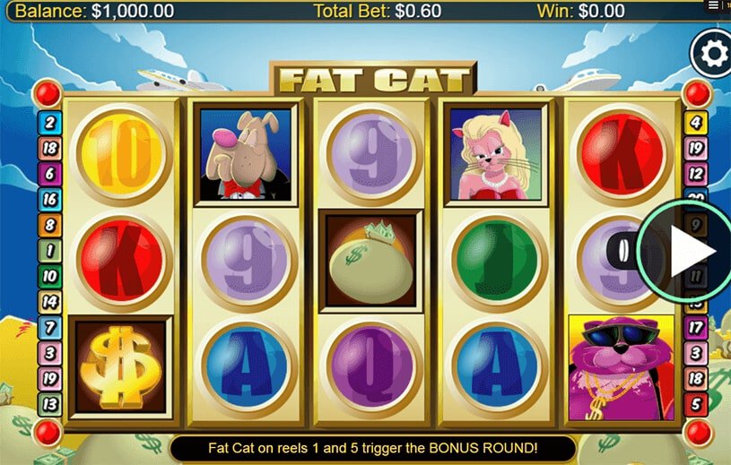 Fat Cat Slot Machine gameplay