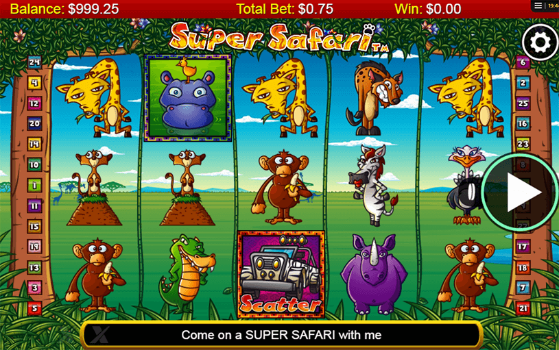 Super Safari Slot gameplay