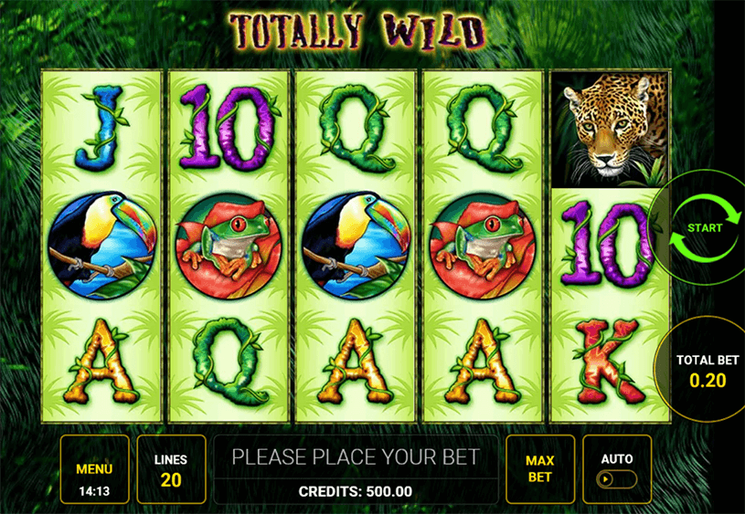 Totally Wild Slot gameplay