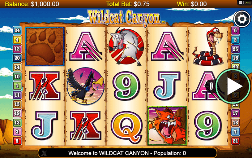 Wild Cat Canyon Slot gameplay
