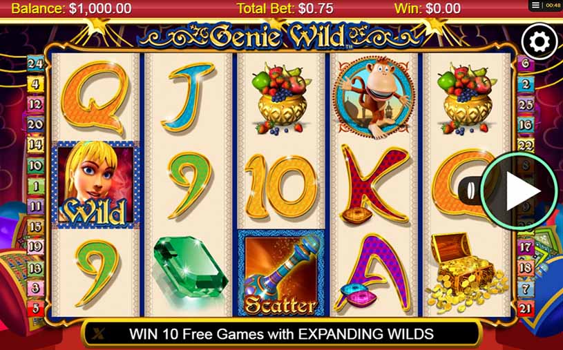 Genie Wild Slot gameplay
