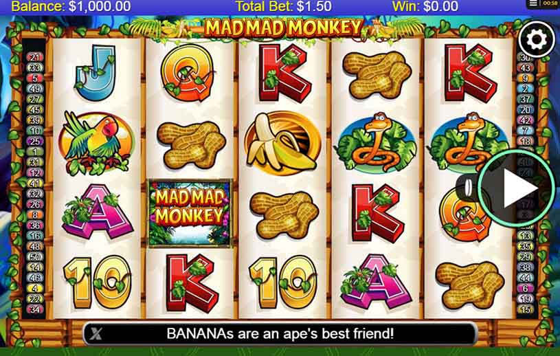 Mad Mad Monkey Slot gameplay