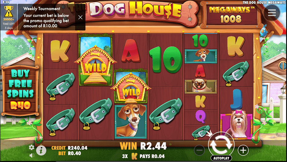 Dog House
