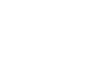 spinch logo light