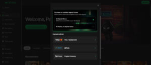 Betninja Casino Review 2025 | Claim Free Spins \u0026 Bonus Codes