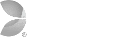 Evolution Gaming en meer